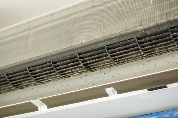 Best Professional Duct Cleaning Services  in Lake Cherokee, TX
