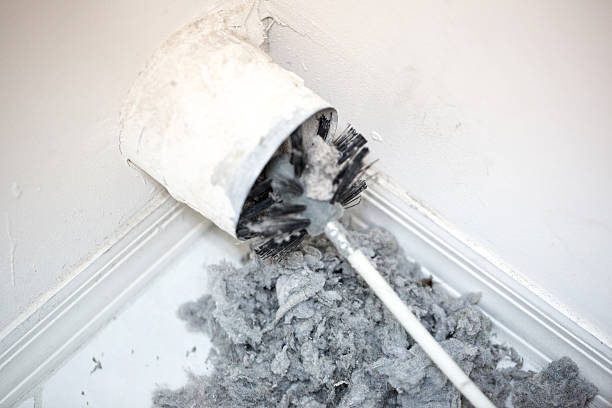 Best Local Air Duct Cleaning Services  in Lake Cherokee, TX